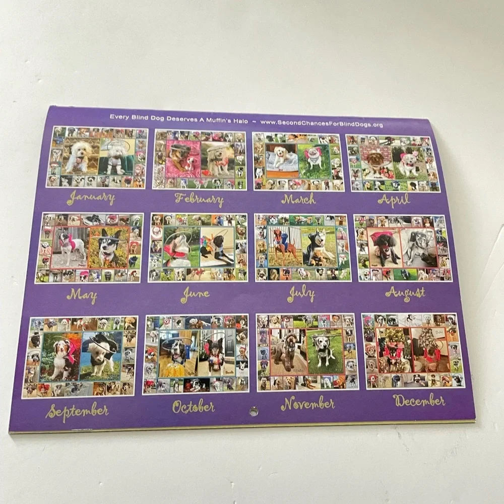 Unique 2025 Blind Dogs Calendar